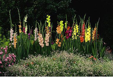 《方舟生存飞升》“恐龙战队”联名MOD销量超60W套